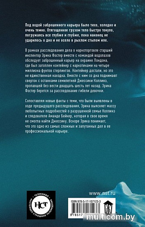 АСТ. Темные воды (Брындза Р.)