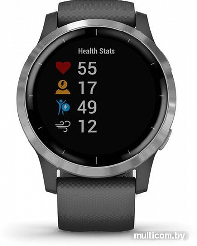 Умные часы Garmin Vivoactive 4 (серый/серебристый)