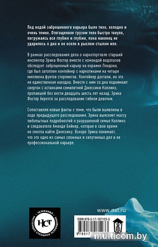 АСТ. Темные воды (Брындза Р.)