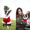 Куртка для животных Puppia Santa PDDF-SC23-RD-M (красный)