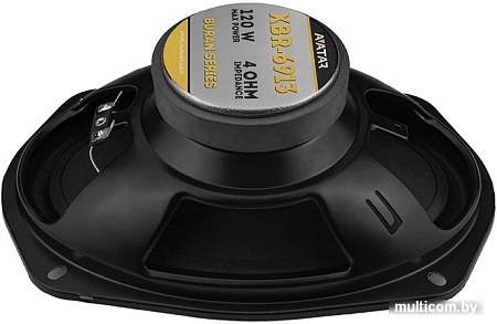 Коаксиальная АС Avatar XBR-6913