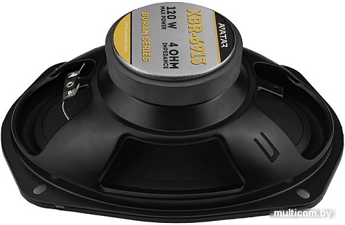 Коаксиальная АС Avatar XBR-6913