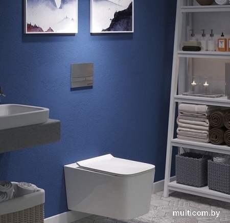 Панель смыва Berges Wasserhaus Novum F2 (матовый хром)