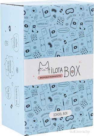 Подарочный набор Milota Box School Mini MBS019