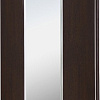 Шкаф-купе Рэйгрупп Elgon VVX 02 РГ-06.02 120x45 см (без стеллажа, венге/хром)
