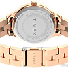 Наручные часы Timex TW2V06300