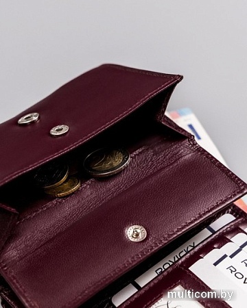 Кошелек Cedar Rovicky R-RD-38-GCL (сливовый)