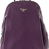 Городской рюкзак David Jones 823-CH21044E-PRP (фиолетовый)