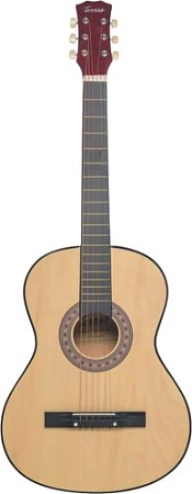 Акустическая гитара Terris TF-3802A NA