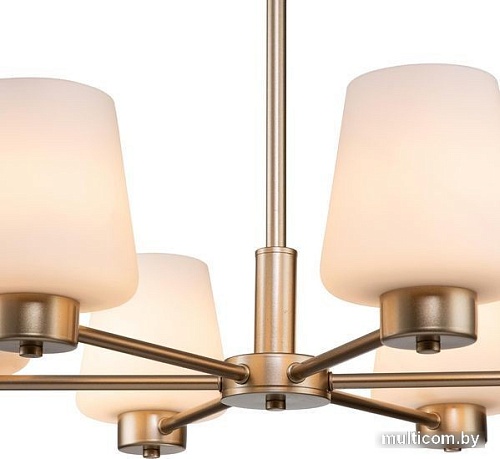 Подвесная люстра Indigo Tulip V000001