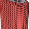Беспроводная колонка Canyon CNE-CBTSP4R