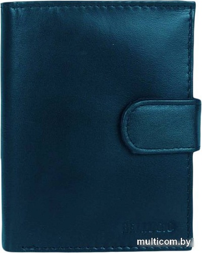Кошелек Sanchez Casual ZM-110R-123A (синий)