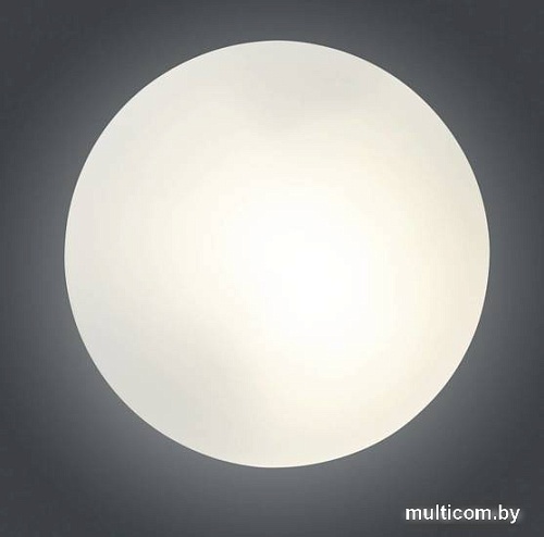 Припотолочная люстра Элетех Полусфера Б 300 НПО 22-2х60-210 1005150260 (опал матовый)