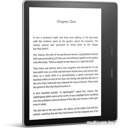 Электронная книга Amazon Kindle Oasis 2019 8GB (серый)