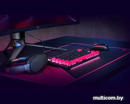 Коврик для мыши ASUS ROG Sheath Electro Punk
