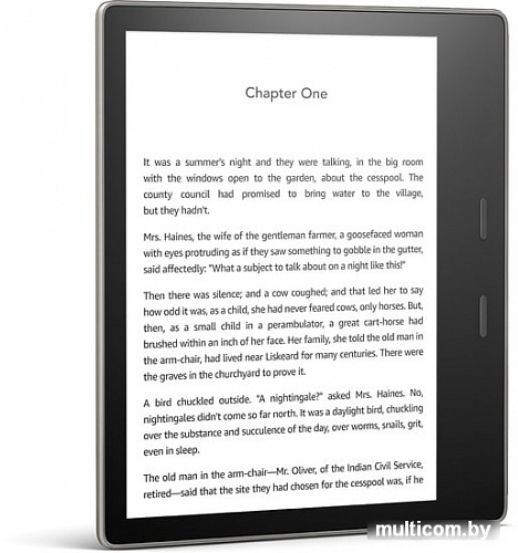 Электронная книга Amazon Kindle Oasis 2019 8GB (серый)