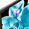 Телевизор Sony KD-65XG8096