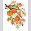 Набор для вышивания Риолис Солнечная хурма № 1988