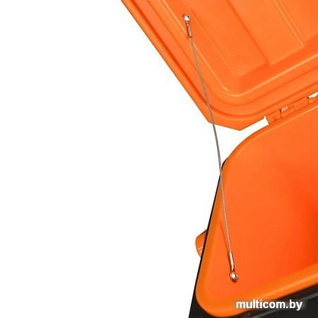 Термобокс BIOSTAL CB-G 30л (черный/оранжевый)