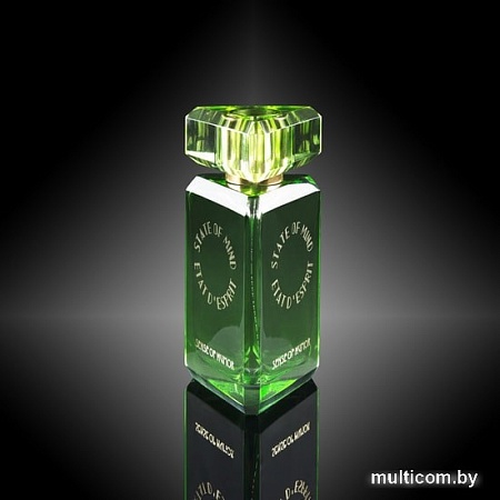 State of Mind Sense Of Humor EdP (100 мл)