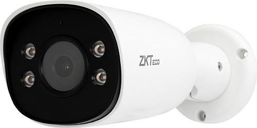 IP-камера ZKTeco BS-855P11T-S7-C-MI