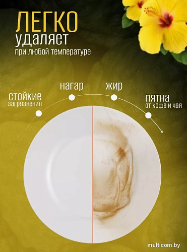 Средство для мытья посуды Результат.Про Гибискус (5 л)