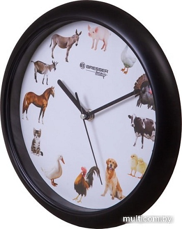 Настенные часы Bresser Junior (белый/черный)