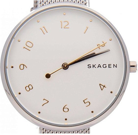 Наручные часы Skagen SKW2623