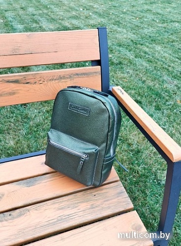 Городской рюкзак Carlo Gattini Premium Anzolla 3040-59 (золотой киви)