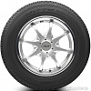 Автомобильные шины Nitto NTSN2 185/65R14 86Q