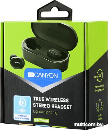 Наушники Canyon CND-TBTHS2B