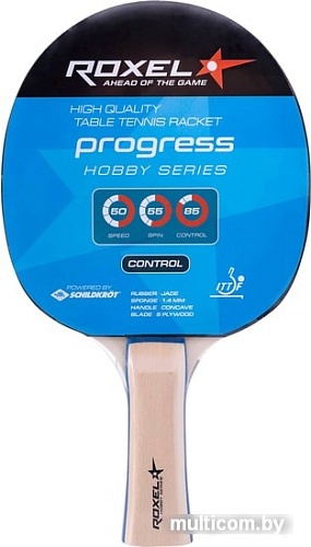 Набор для настольного тенниса Roxel Schildkrot Hobby Progress