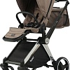 Универсальная коляска Rant Links (3 в 1, коричневый)
