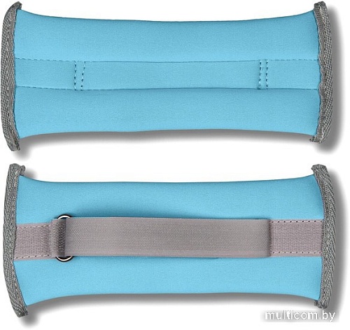 Комплект утяжелителей Indigo SM-260 (голубой)