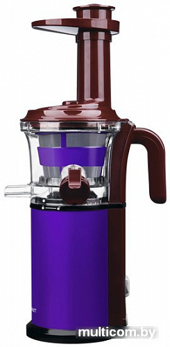 Соковыжималка Scarlett SC-JE50S41