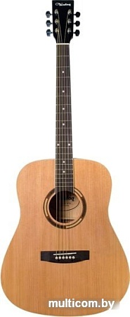 Акустическая гитара Veston D-40 SP/N