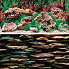 Фон Barbus двухсторонний каменная стена/дикая вода 60 см х 124 см