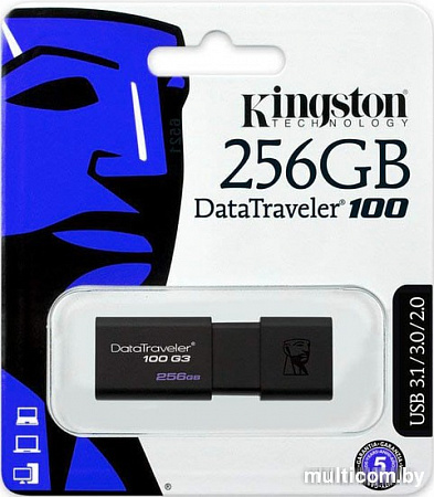 USB Flash Kingston DataTraveler 100 G3 256GB