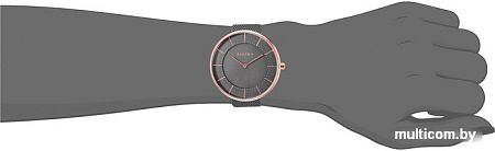 Наручные часы Skagen SKW2584