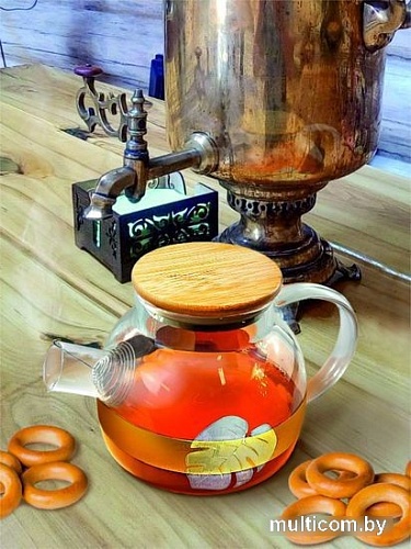 Заварочный чайник Promsiz ERAN424-1000/S/Z/1