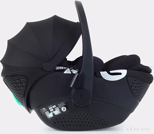 Детское автокресло Rant Aster Zero AY378 (черный)