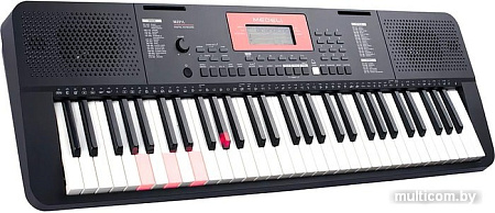 Синтезатор Medeli M221L