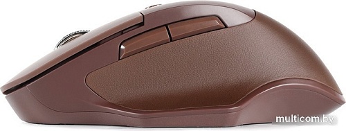 Мышь SmartBuy SBM-615AG-L