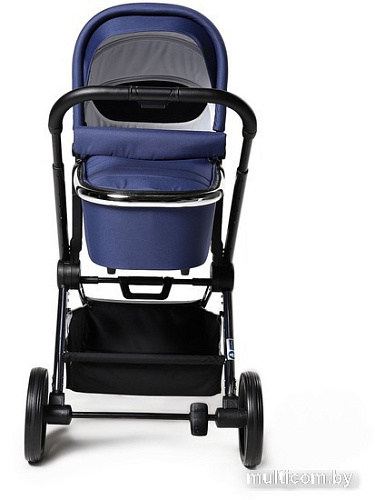 Универсальная коляска Labala Raiz (2 в 1, blue)