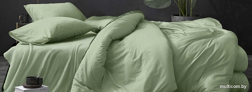 Постельное белье Luxor № Фисташка (N) 1.5 (поплин гл/кр)