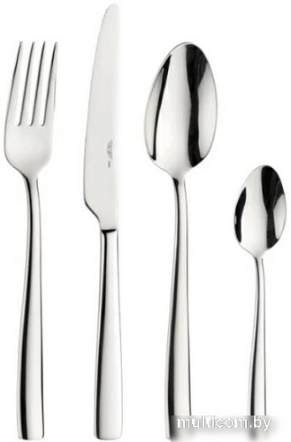 Набор столовых приборов Pintinox Tiger 28207091