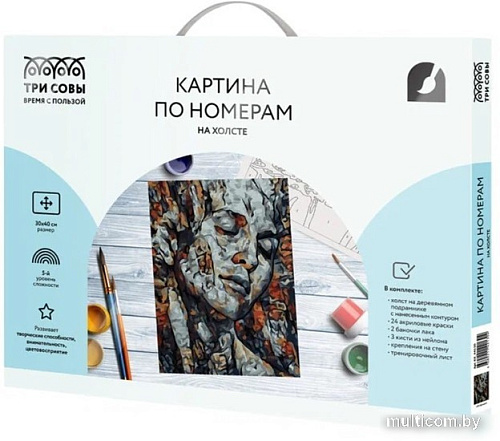 Картина по номерам Три совы Абстракция КХ_44130