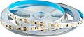 Светодиодная лента TruEnergy Standart 16015
