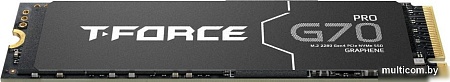 SSD Team T-Force G70 Pro 1TB TM8FFH001T0C129
