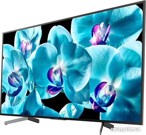 Телевизор Sony KD-49XG8096
